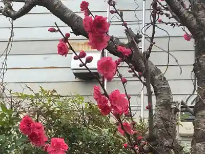 横浜御嶽神社(神奈川県)
