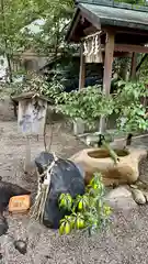 堀越神社(大阪府)