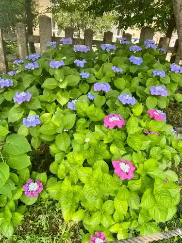 六孫王神社の自然