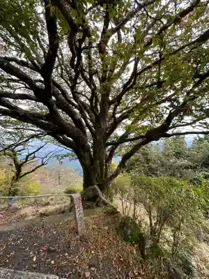 大山阿夫利神社本社(神奈川県)