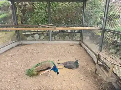 天台宗 五大山 白毫寺(兵庫県)