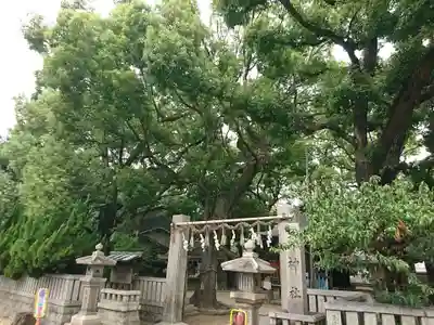 天神社(桑津天神社)の鳥居