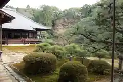 隨心院（随心院）の庭園