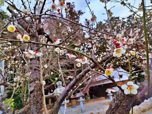 立志神社(滋賀県)