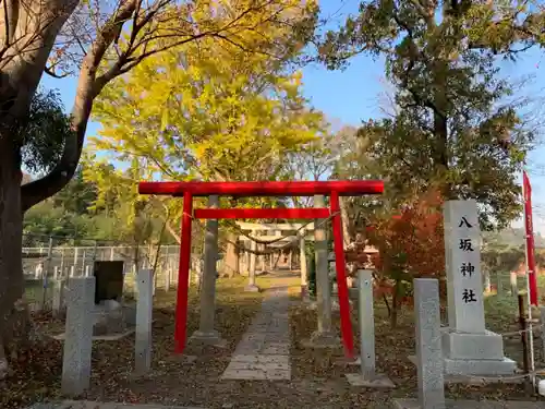 八坂神社の鳥居