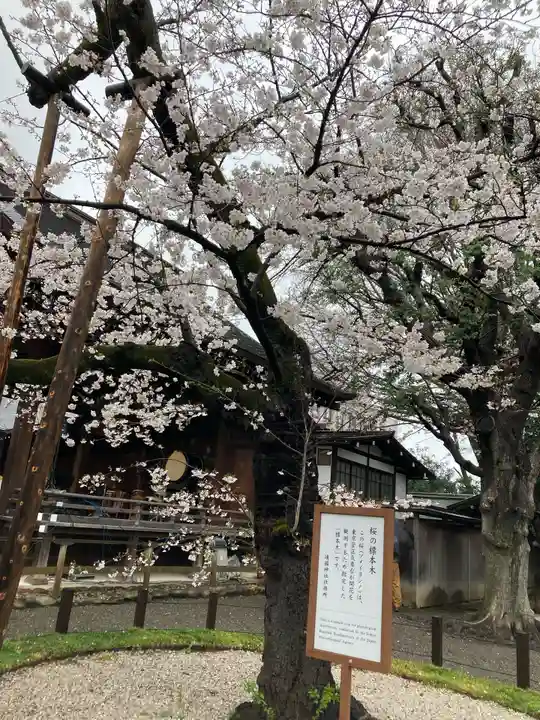 靖國神社(東京都)