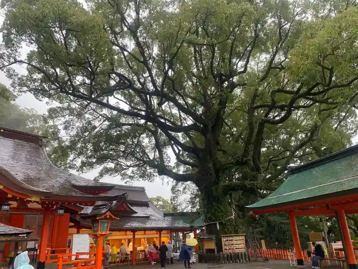 熊野那智大社(和歌山県)