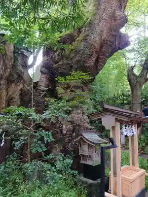 來宮神社のその他建物