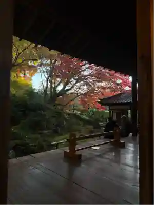榮攝院（栄摂院）(京都府)