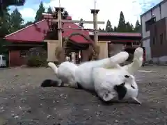 風巻神社の動物