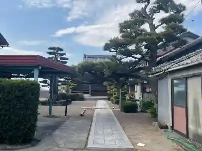 空善寺の{uncategorized: "未分類", other: "その他", undefined: "問題あり", building: "その他建物", grave: "お墓", sacred_gate: "鳥居", guardian: "狛犬", statue: "像", buddha: "仏像", history: "歴史", nature: "自然", garden: "庭園", animal: "動物", pagoda: "塔", temizu: "手水舎", mountain_gate: "山門・神門", sanctuary: "本殿・本堂", subordinate: "末社・摂社", art: "芸術", scenery: "景色", jizo: "地蔵", ema: "絵馬", goshuin: "御朱印", omikuji: "おみくじ", items: "授与品その他", amulet: "お守り", goshuincho: "御朱印帳", eats: "食事", festival: "お祭り", votive_dance: "神楽", shichigosan: "七五三参", wedding: "結婚式", experience: "体験その他", initially: "初詣", around: "周辺", anti_infection: "感染症対策"}