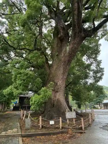 天地神社(静岡県)