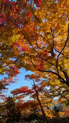 善峯寺(京都府)