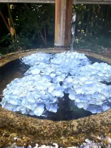 下高井戸八幡神社（下高井戸浜田山八幡神社）の手水