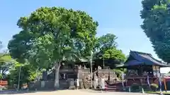 諏訪神社の御朱印