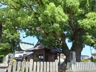 上代阿蘇神社(熊本県)