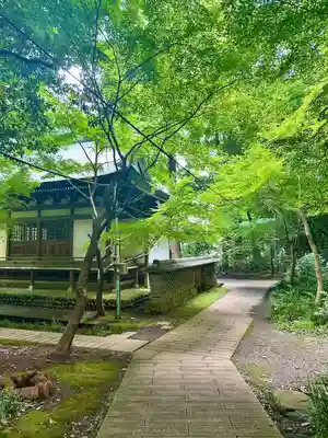 深大寺(東京都)