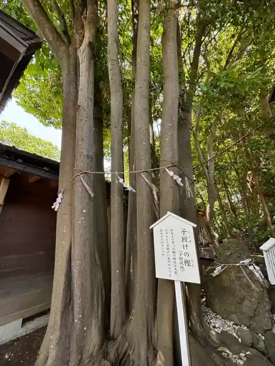 検見川神社(千葉県)