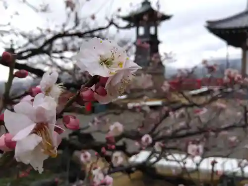 中山寺(兵庫県)