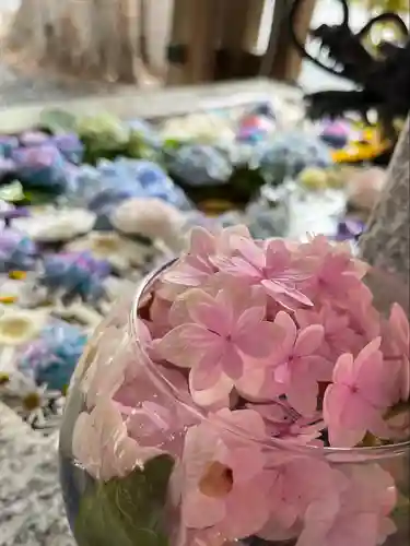 札幌諏訪神社の手水