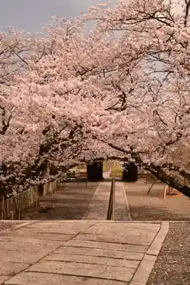 久妙寺(愛媛県)