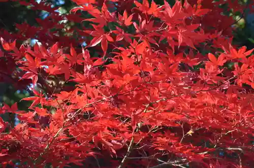 北口本宮冨士浅間神社(山梨県)