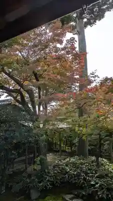 大法院(京都府)