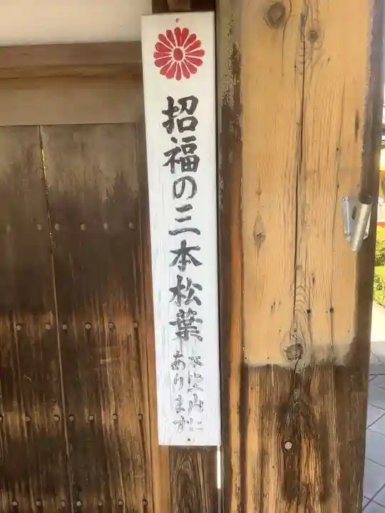 修造院(曼陀羅寺塔頭)の山門・神門