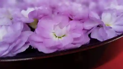 阿邪訶根神社の手水舎