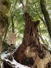 西林寺(兵庫県)