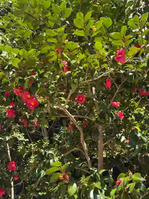 円覚寺(神奈川県)