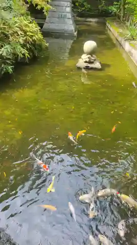 石鎚神社 口之宮 本社(愛媛県)