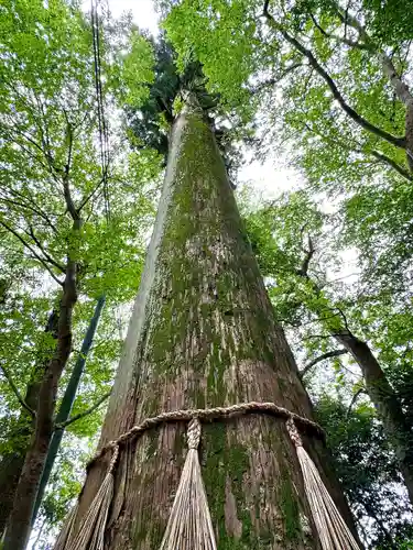 高瀧神社(千葉県)