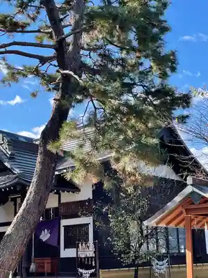 阿佐ヶ谷神明宮(東京都)