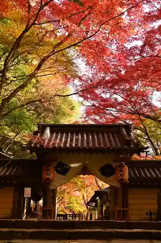 永源寺(滋賀県)
