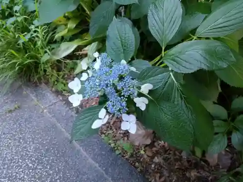 出町妙音堂(京都府)
