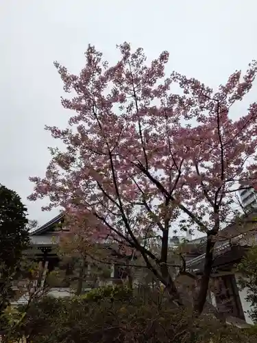 源空寺(東京都)
