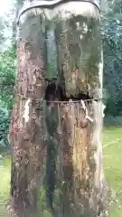 子安神社の自然