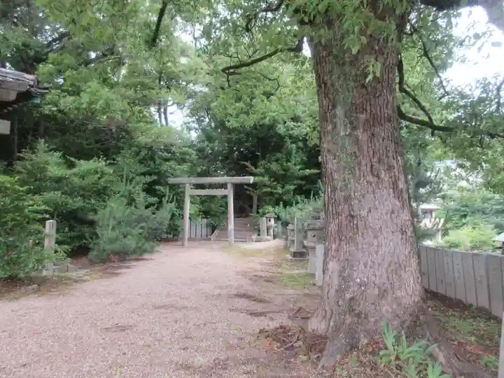 岡崎天満宮(愛知県)