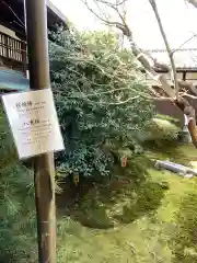 宝鏡寺の庭園