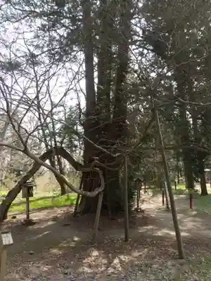 伊佐須美神社(福島県)