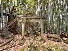 高田山口神社(奈良県)