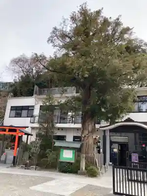 乗蓮寺(神奈川県)