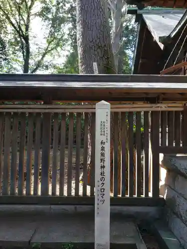 熊野神社の自然