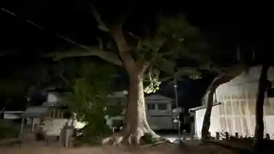 粟嶋神社 (徳島県)