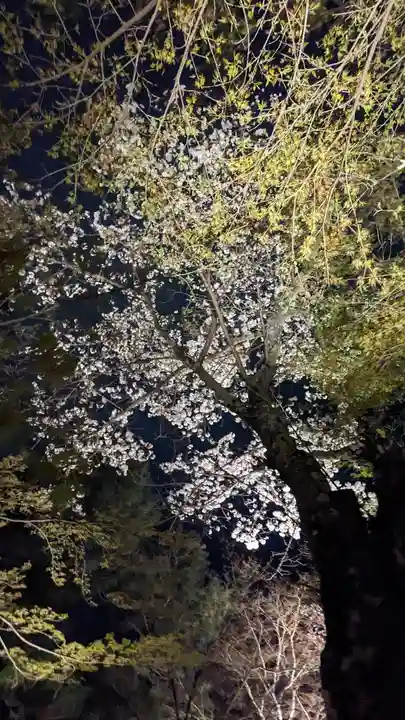 高台寺(高台寿聖禅寺・高臺寺)(京都府)