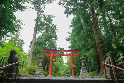 大崎八幡宮の建物その他