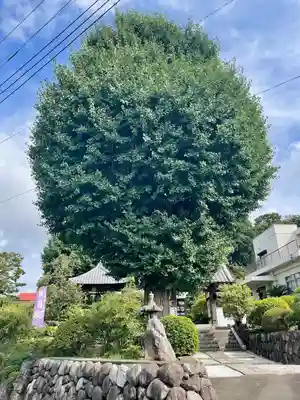 貞昌院(神奈川県)