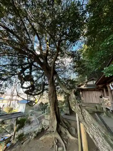腰神神社(大阪府)