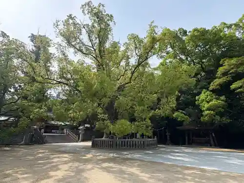 大山祇神社(愛媛県)